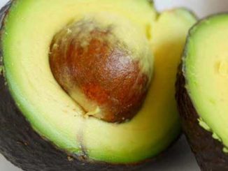 Avocado great for reducing hunger